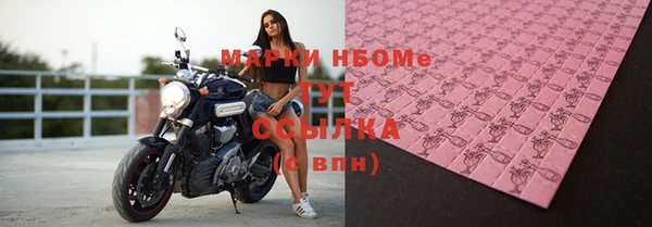 мдпв Новозыбков