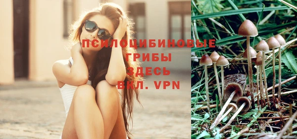 индика Богданович