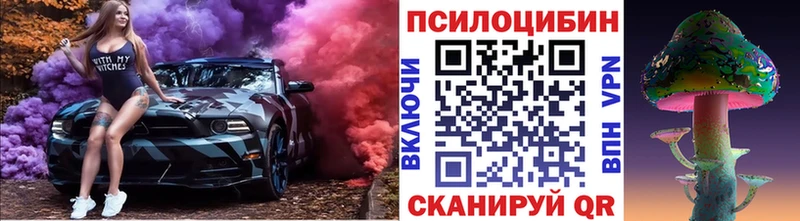 Псилоцибиновые грибы Cubensis Минеральные Воды